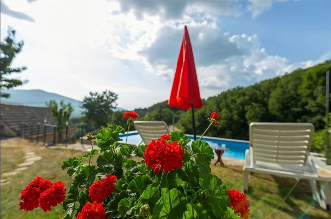 Honey House Villa Grabovac  Exterior foto
